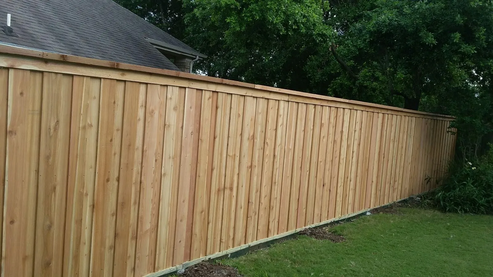Cedar privacy fence along a tree line